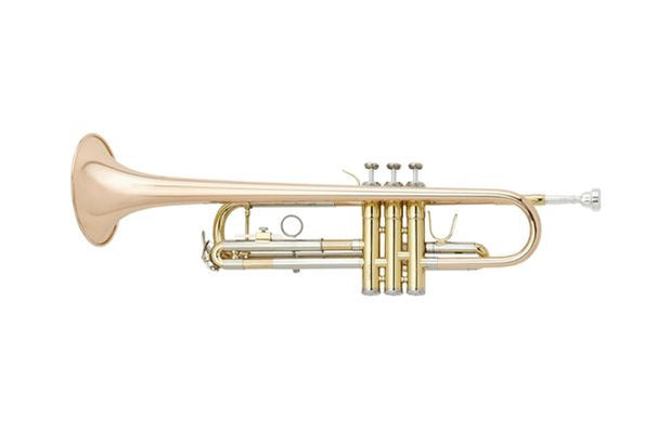 Music Man Australia: Shop for Musical Instruments, DJ Equipment & more