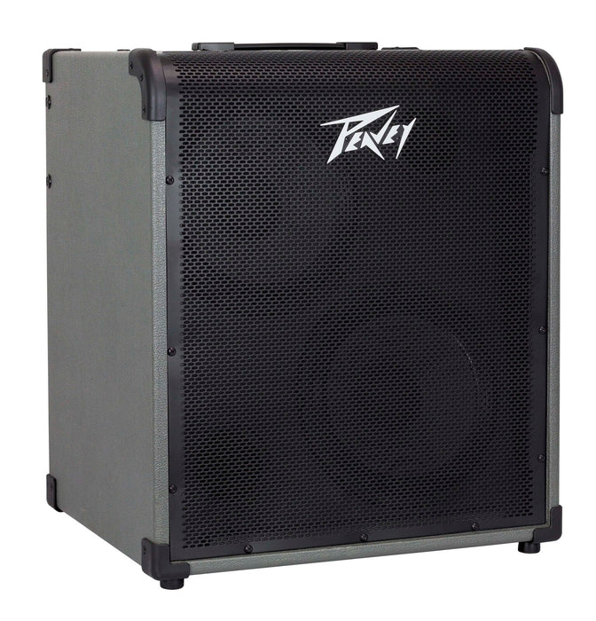 Peavey MAX Series MAX300 Bass Amp Combo 300-Watt 2x10