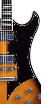 HAGSTROM PICKGUARD TO SUIT FANTOMEN
