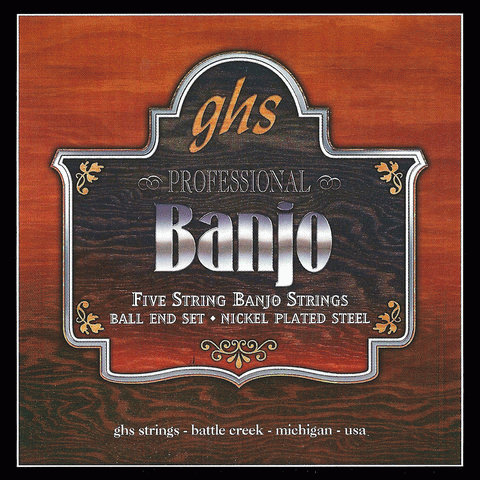 BANJO 5 STR SET 10/22 SS LOOP END MED/LT