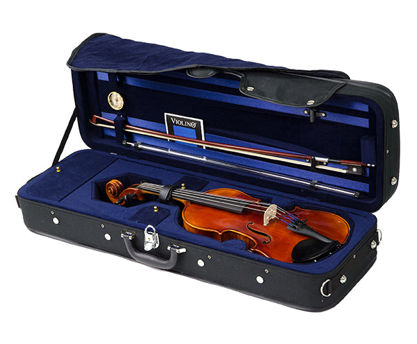 4/4 Raggetti RV7 Outfit - Setup Package with RV7AE Instrument