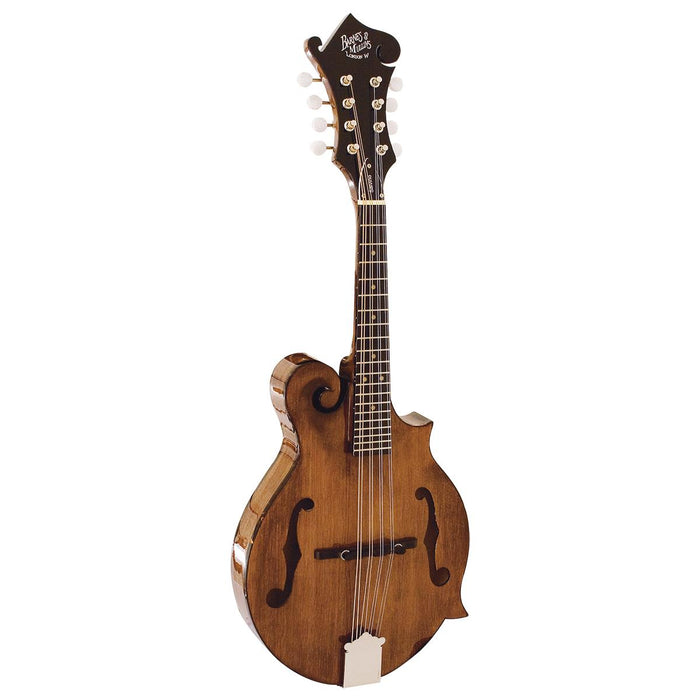 Barnes & Mullins BM650 Salvino Mandolin