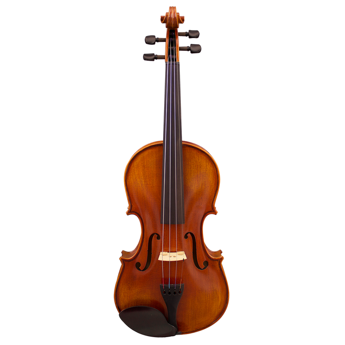 Hidersine HW3180A-P Studenti Academy Finetune 4/4 Violin Student Outfit setup with Thomastik Alphayue strings