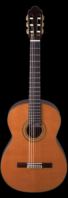 IGNACIA FLETA STYLE CLASSICAL GTR CEDAR-T