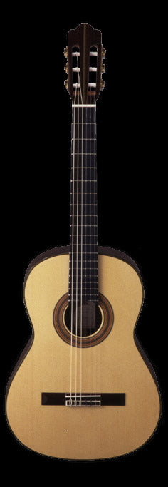 HERMAN HAUSER STYLE CLASSICAL GTR