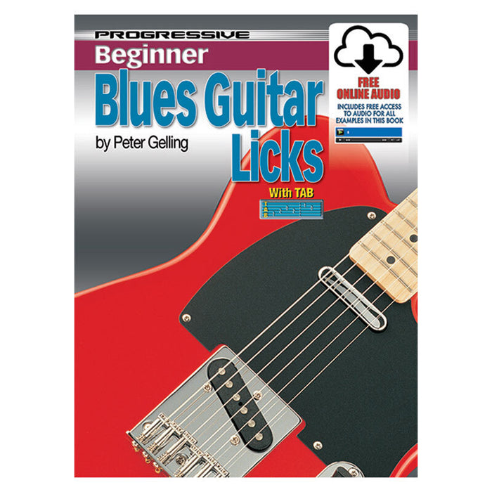 69043 PROG BEG BLUES GTR LICKS