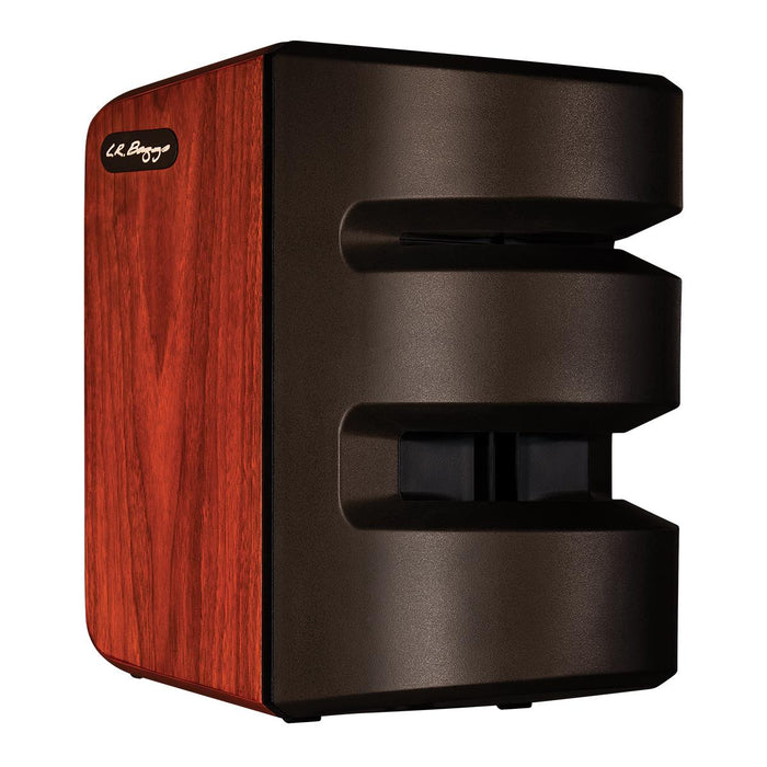 LR BAGGS SYNAPSE PERSONAL PA SYSTEM