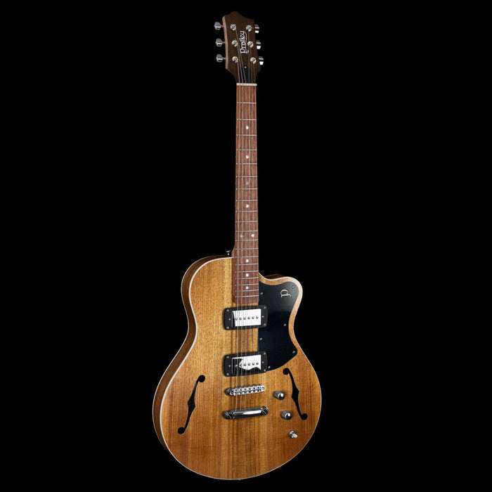 Pratley Electric Semi-Hollow Blackwood Single CutSD Phat Cat P90 Set