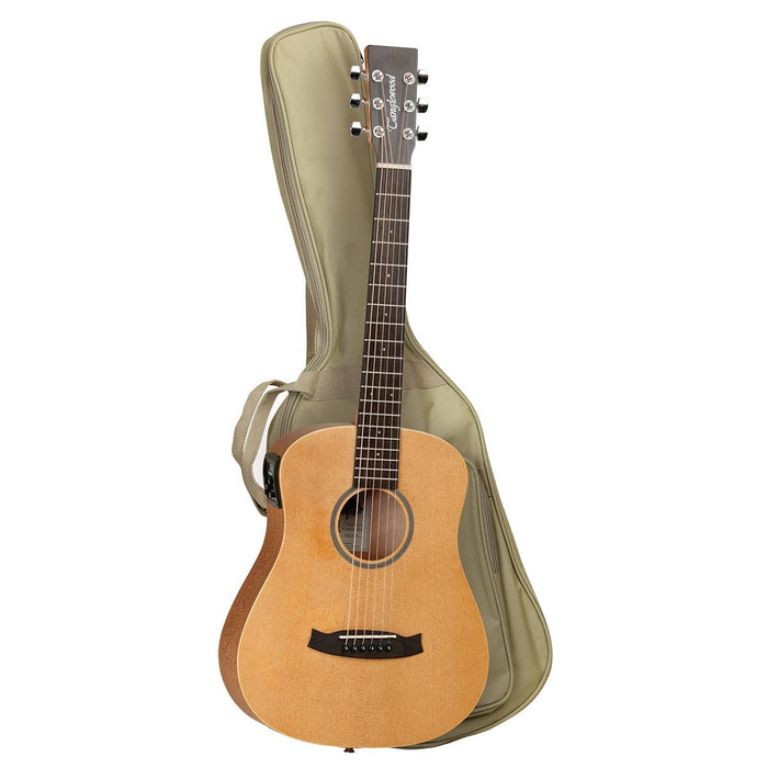 Tanglewood TW2TSE Winterleaf Traveller Spruce w/ PickUp & Bag