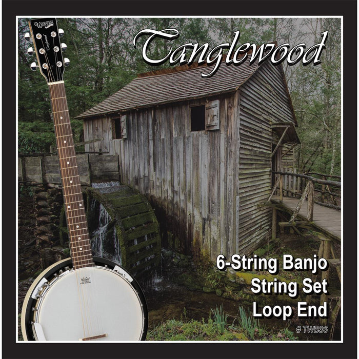 Tanglewood TWBS6 Banjo 6-String Set - Loop End