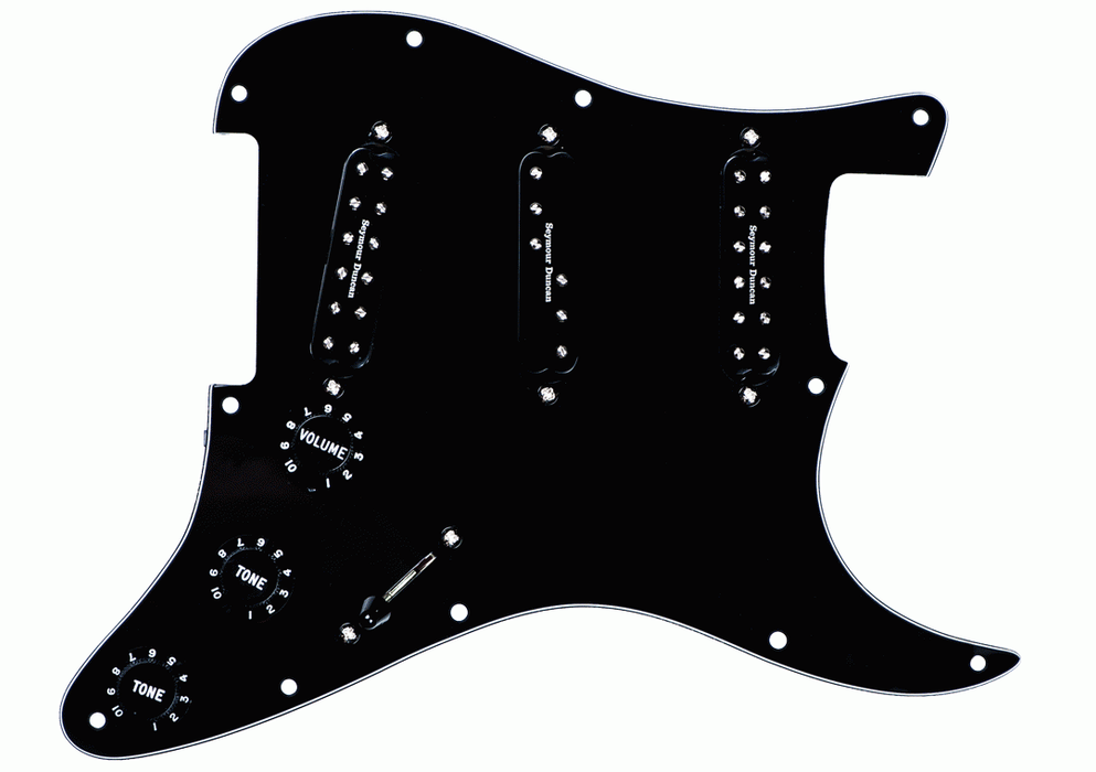 Seymour Duncan Pickgrd Assy Everything Axe Black
