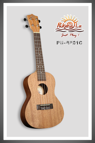 PUKANALA BEGINNER CONCERT UKE