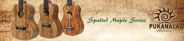 CONCERT UKULELE SPALTED MAPLE BODY NATURAL SATIN