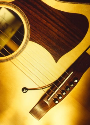 GTR PICK-UP SINGLE ELEMENT