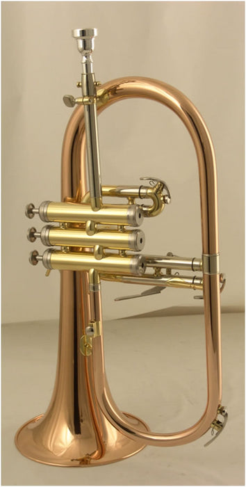 FLUGEL HORN BRASS LACQUERED S/STEEL VALVES W/CAS